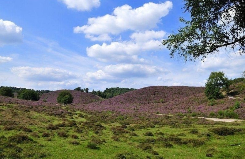 Veluwezoom Nationalpark